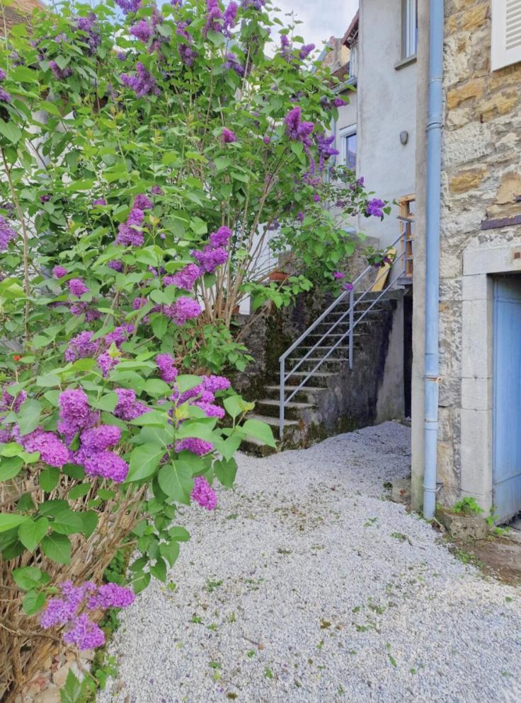 Le Lynx Boreal, Centre Historique Avec Jardin Lons-le-Saunier Exterior photo